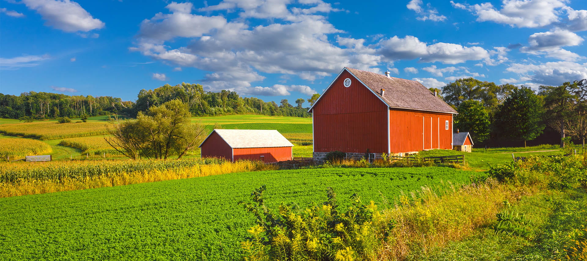 Retirees Sentinel Wealth Group San Angelo, TX